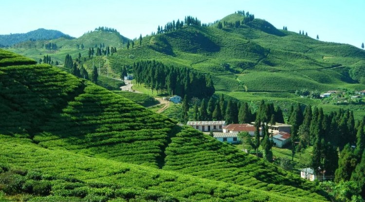Antudanda Illam Sunrise Trek Photo