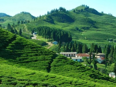 Antudanda Illam Sunrise Trek Photo