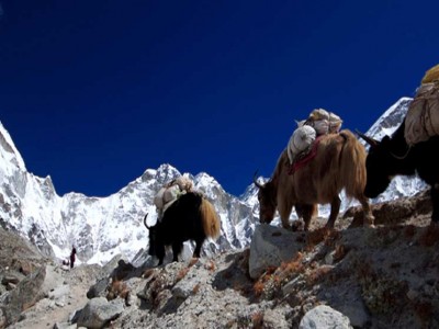 Everest Base Camp Trek Photo