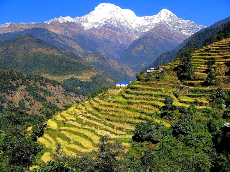 Ethnological Tour Nepal