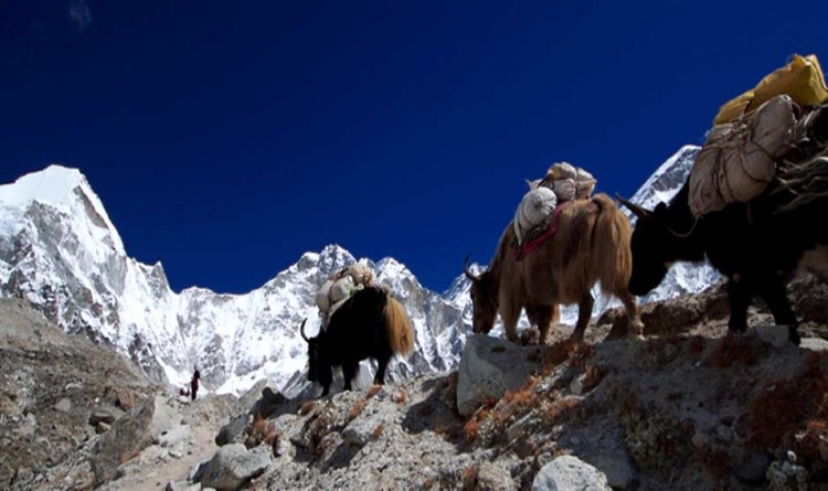 Everest Base Camp Trek Photo