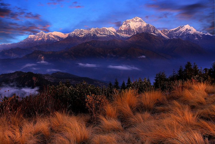 Ghorepani Poon Hill Trek Photo
