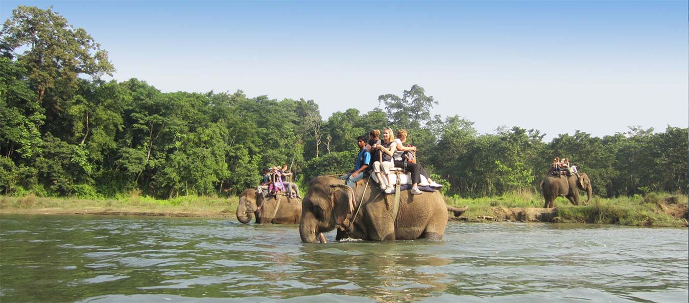 Jungle Safari Tour in Chitwan